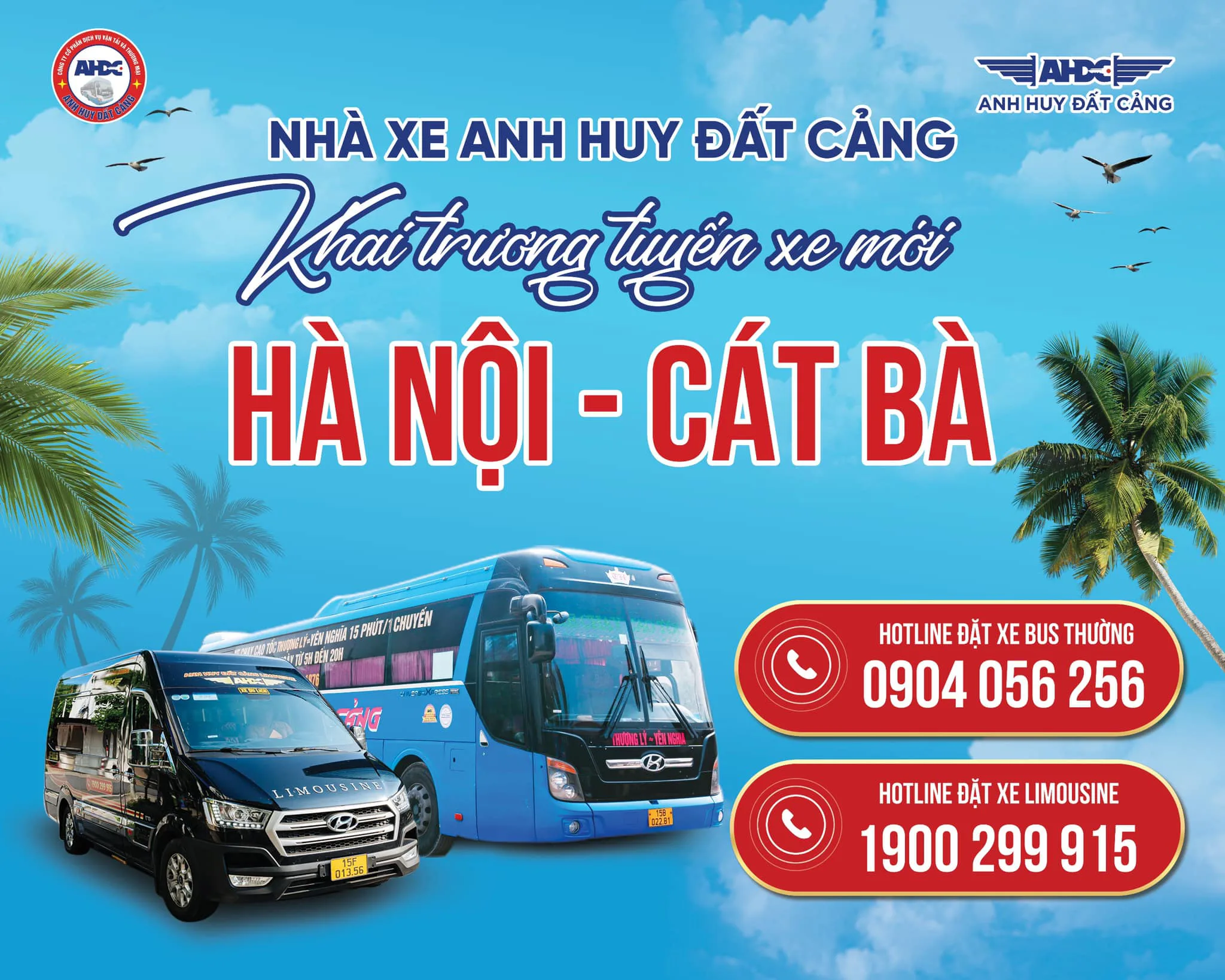 Di chuyển đến Cát Bà như thế nào? Chọn Anh Huy Đất Cảng để có chuyến đi tuyệt vời